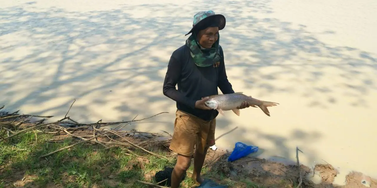 หมู่บ้านในโคราช พลิกวิกฤติแล้งเป็นโอกาส เปิดสระน้ำสาธารณะ ขายบัตรลงแขกจับปลา