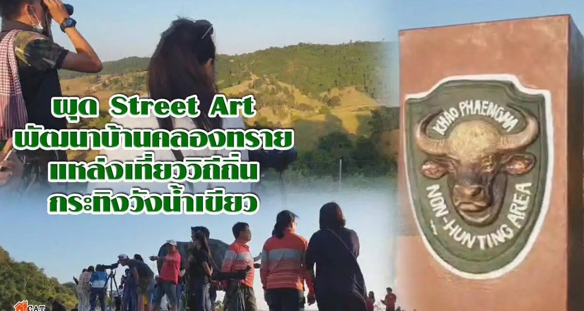 ผุด Street Artพัฒนาบ้านคลองทรายแหล่งเที่ยววิถีถิ่น กระทิงวังน้ำเขียว