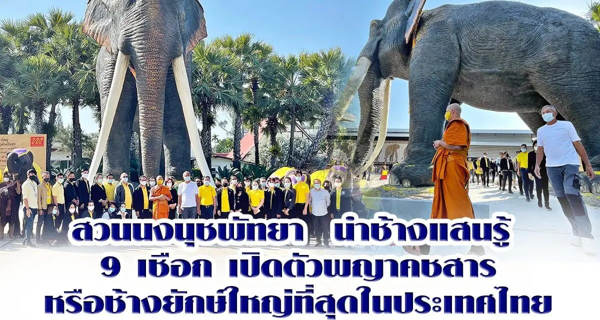 สวนนงนุชพัทยา  นำช้างแสนรู้ 9 เชือก เปิดตัวพญาคชสารหรือช้างยักษ์ ใหญ่ที่สุดในประเทศไทย