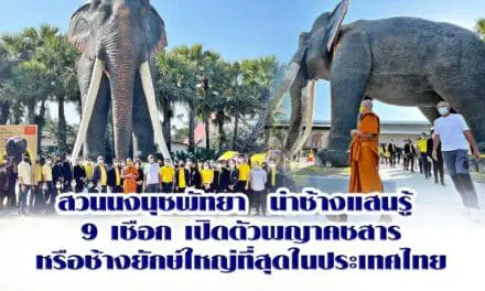 สวนนงนุชพัทยา  นำช้างแสนรู้ 9 เชือก เปิดตัวพญาคชสารหรือช้างยักษ์ ใหญ่ที่สุดในประเทศไทย