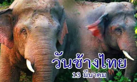 วันช้างไทย 13 มีนาคม