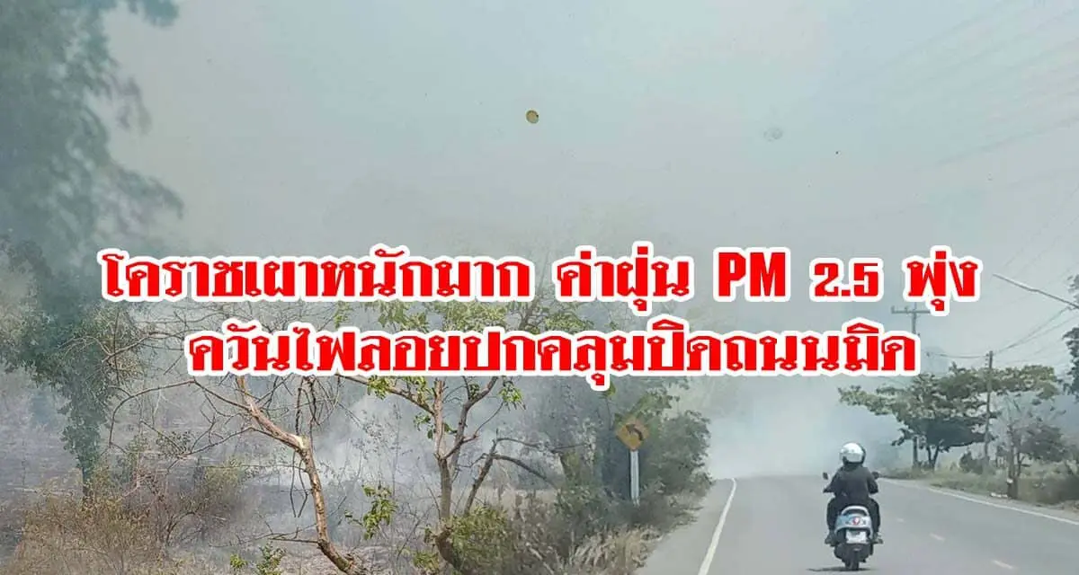 โคราชเผาหนักมาก ค่าฝุ่น PM2.5พุ่ง ควันไฟลอยปกคลุมปิดถนนมิด