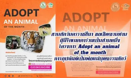 สวนสัตว์นครราชสีมา ขอเชิญชวนท่าน ผู้มีจิตเมตตาร่วมเป็นส่วนหนึ่ง โครงการ Adopt an animal of the month การอุปถัมภ์เป็นพ่อแม่บุญธรรมสัตว์