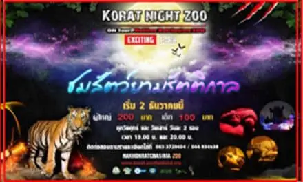 สวนสัตว์นครราชสีมา เปิดมิติใหม่แห่งการเที่ยวชม Korat Night Zoo ชมสัตว์ยามรัตติกาล
