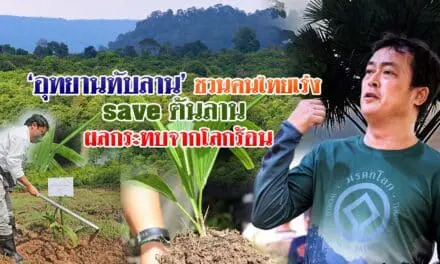 อุทยานทับลาน ชวนคนไทยเร่ง save ต้นลาน ผลกระทบจากโลกร้อน
