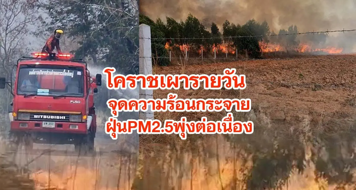 โคราชเผารายวัน จุดความร้อนกระจายทั้งจังหวัด ฝุ่นPM2.5พุ่งต่อเนื่อง