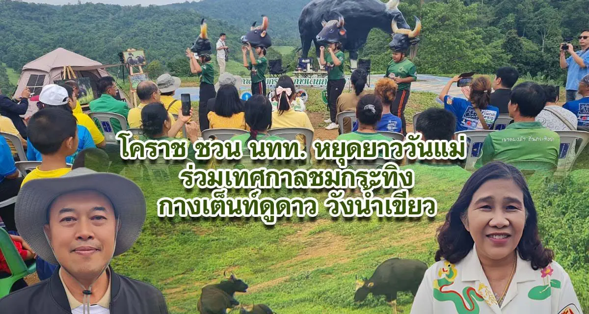 โคราช ชวน นทท หยุดยาววันแม่ ร่วมเทศกาลชมกระทิงกางเต็นท์ดูดาว วังน้ำเขียว