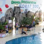 สวนสัตว์เมืองย่าโมจัดโปรโมชั่นเที่ยวชมฟรี ‘เฉพาะแมวน้ำแสนรู้’
