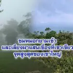 ชมหมอกยามเช้าและเลียงผาแสนเชื่องที่เขาเขียวจุดสูงสุดของเขาใหญ่