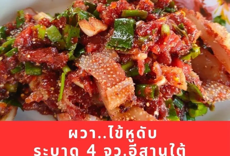 ผวา..ไข้หูดับ หรือไข้หมูดิบ กลับมาระบาดอีกครั้ง 4 จว.อีสานใต้ พบผู้ป่วยแล้ว 89 ราย ตาย 5 ราย