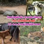 วันแม่สุดคึกคัก สวนสัตว์โคราชใจดี เปิดให้เด็กเข้าฟรี 12 ส.ค.ส่วนผู้ใหญ่มีส่วนลด