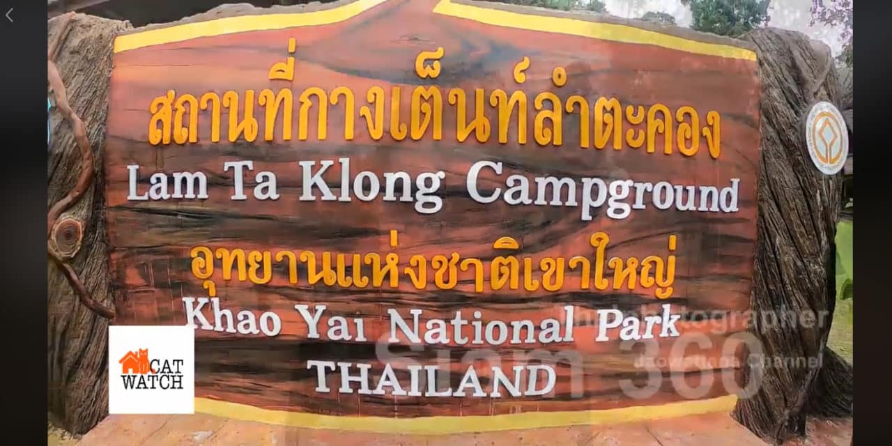 จุดกางเต้นท์ ลำตะคลอง เขาใหญ่