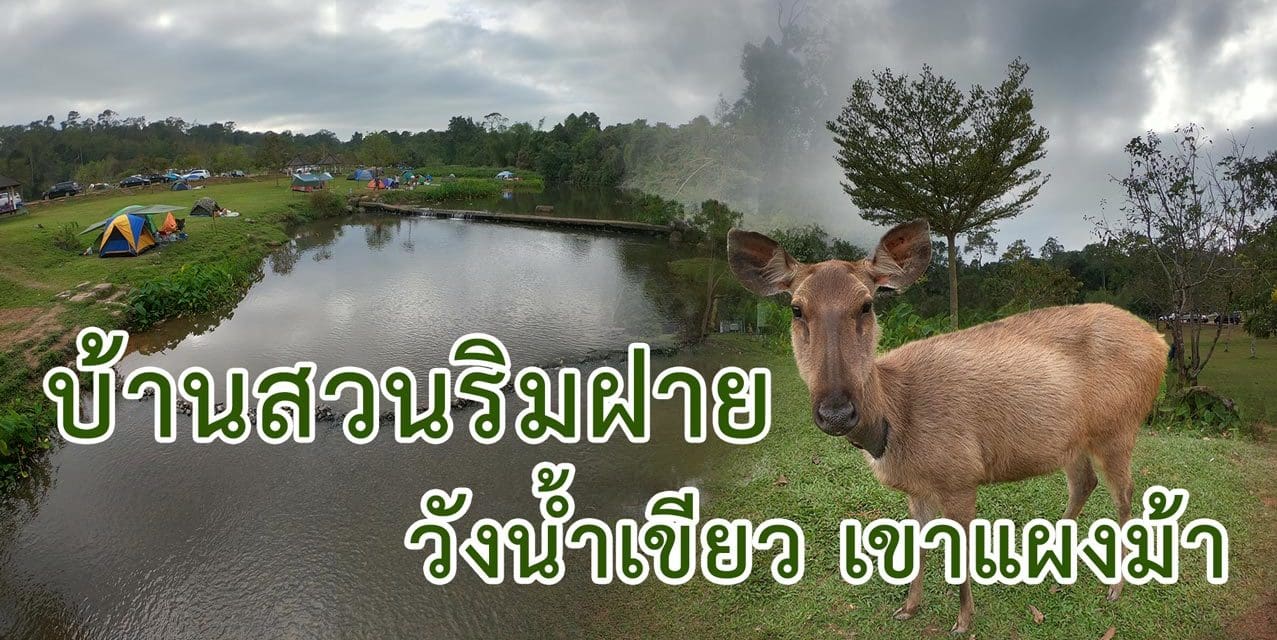 บ้านสวนริมฝาย วังน้ำเขียว เขาแผงม้า