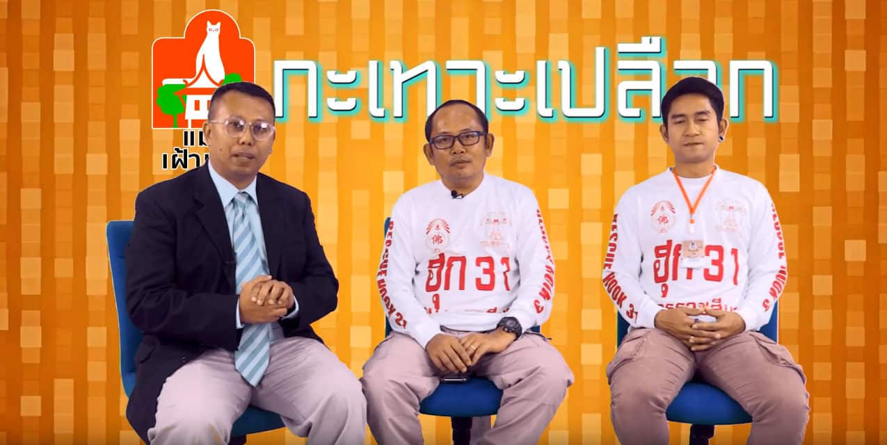 แมวกะเทาะเปลือก ตอน มูลนิธิพุทธธรรม31
