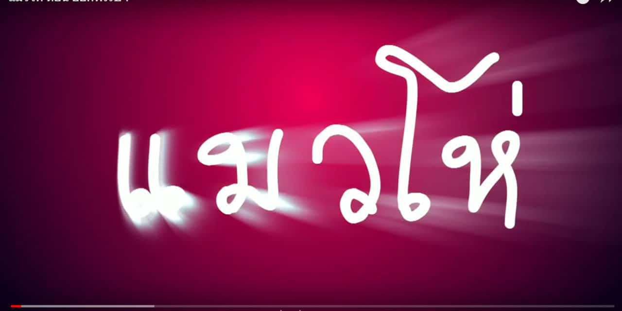 แมวโห่ ตอน ออกพรรษา