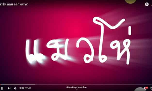 แมวโห่ ตอน ออกพรรษา