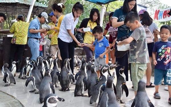 สวนสัตว์เปิดเขาเขียว จ.ชลบุรี จัดกิจกรรมเฉลิมฉลองปีใหม่รับนักท่องเที่ยว