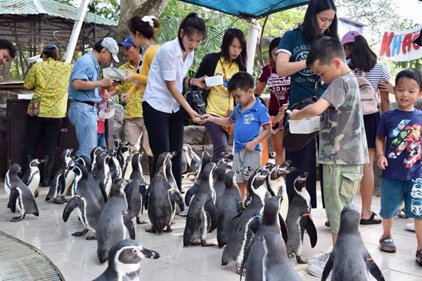 สวนสัตว์เปิดเขาเขียว จ.ชลบุรี จัดกิจกรรมเฉลิมฉลองปีใหม่รับนักท่องเที่ยว
