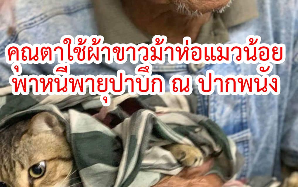 คุณตาใช้ผ้าขาวม้าห่อแมวน้อยอุ้มแนบอก พาหนีพายุปาบึกเข้าศูนย์อพยพปากพนัง