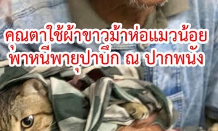 คุณตาใช้ผ้าขาวม้าห่อแมวน้อยอุ้มแนบอก พาหนีพายุปาบึกเข้าศูนย์อพยพปากพนัง