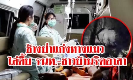 ช้างป่าแก่งหางแมว หงุดหงิด ไล่ตื้บจนท.-ชาวบ้านจิตอาสา ซี่โครงหักสาหัส