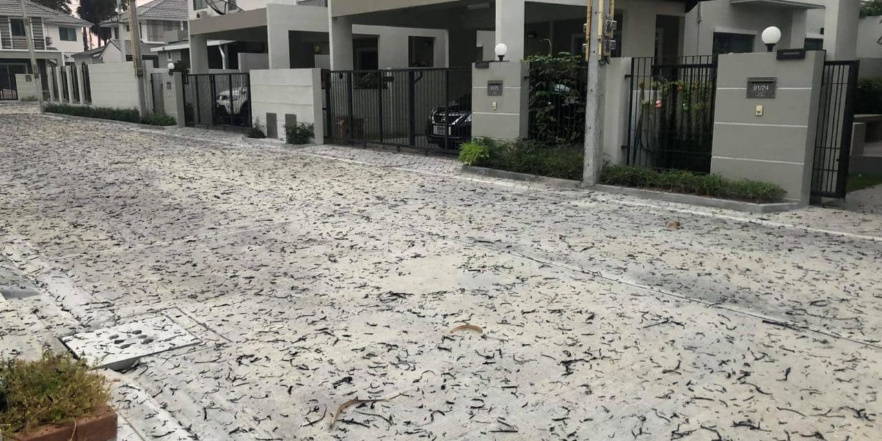 สาวเหลืออด บ้านเต็มไปด้วยเศษขี้เถ้า จากการเผาของคนมักง่าย