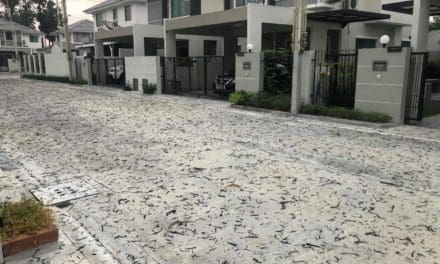 สาวเหลืออด บ้านเต็มไปด้วยเศษขี้เถ้า จากการเผาของคนมักง่าย