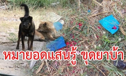 หมายอดแสนรู้ ขุดยาบ้า ประจานตำรวจ!