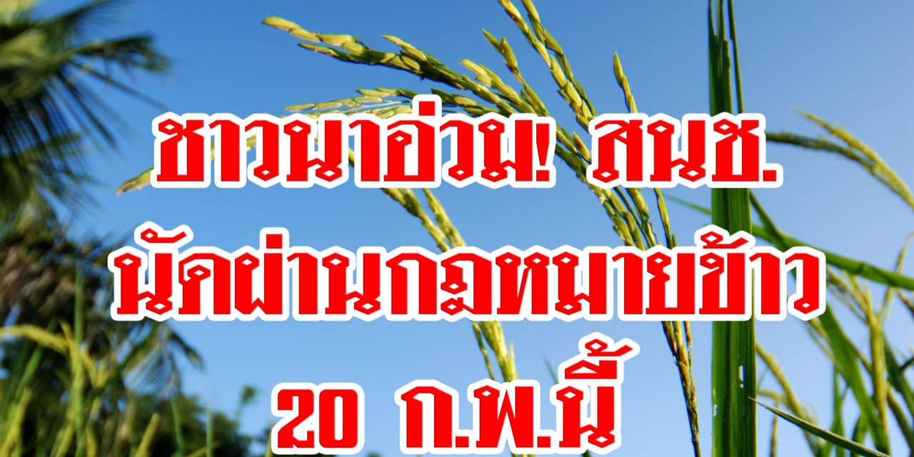 ชาวนานสะอื้น! สนช.นัดผ่าน พรบ.ข้าวแล้ว โทษหนัก! หากเก็บเมล็ดพันธุ์ใช้เอง