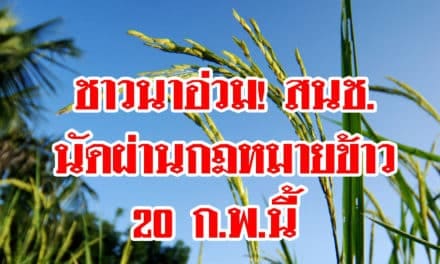 ชาวนานสะอื้น! สนช.นัดผ่าน พรบ.ข้าวแล้ว โทษหนัก! หากเก็บเมล็ดพันธุ์ใช้เอง