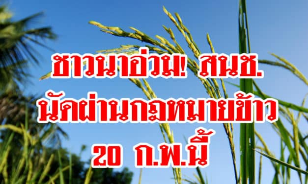 ชาวนานสะอื้น! สนช.นัดผ่าน พรบ.ข้าวแล้ว โทษหนัก! หากเก็บเมล็ดพันธุ์ใช้เอง