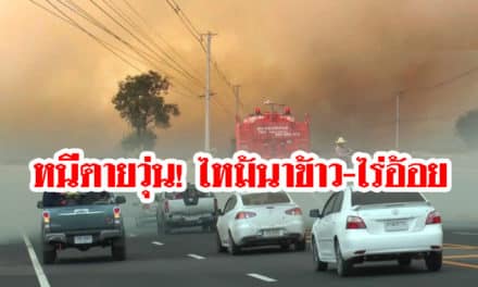 หนีตายวุ่น! ไหม้นาข้าว-ไร่อ้อย 130 ไร่