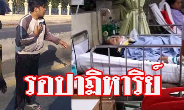หนุ่มซิ่งจยย.ชนนร.หญิงข้ามทางม้าลายเต็มแรง เด็กสมองตายรอปาฏิหาริย์
