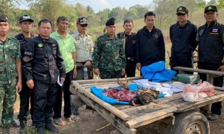 ค้นบ้านห้วยระหงส์ 7 จุดเป้าหมาย หลังพบข้อมูลขบวนการล่าสัตว์ป่าส่งขายตลาดหล่มสัก จังหวัดเพชรบูรณ์