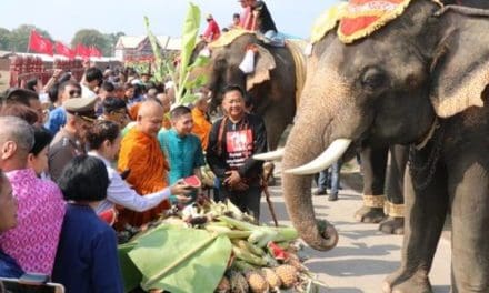 กรุงเก่า “พระนครศรีอยุธยา” จัดยิ่งใหญ่เลี้ยงโต๊ะจีนช้าง 70 เชือก ในวันช้างไทย