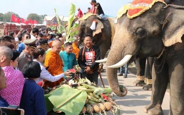 กรุงเก่า “พระนครศรีอยุธยา” จัดยิ่งใหญ่เลี้ยงโต๊ะจีนช้าง 70 เชือก ในวันช้างไทย
