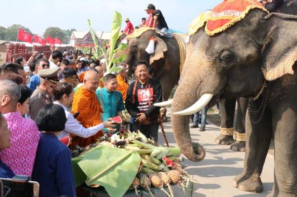กรุงเก่า “พระนครศรีอยุธยา” จัดยิ่งใหญ่เลี้ยงโต๊ะจีนช้าง 70 เชือก ในวันช้างไทย
