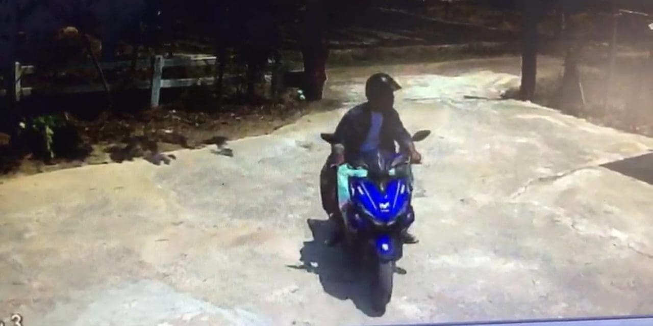 รีสอร์ท เจอดี!  ลูกค้าในคราบโจร