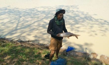 หมู่บ้านในโคราช พลิกวิกฤติแล้งเป็นโอกาส เปิดสระน้ำสาธารณะ ขายบัตรลงแขกจับปลา