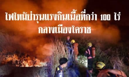 ไฟไหม้ป่ารุนแรงกินเนื้อที่กว่า 100 ไร่ กลางเมืองโคราช คาดสาเหตุเกิดจากฝีมือมนุษย์