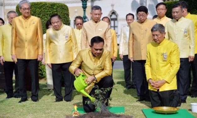 บิ๊กตู่ นำครม. ปลูกต้นรวงผึ้งพระราชทาน