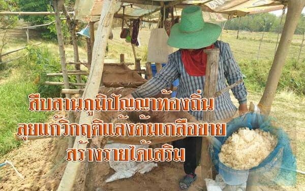 ชาวบ้านพิมาย โคราช สืบสานภูมิปัญญาท้องถิ่น ลุยแก้วิกฤติแล้งต้มเกลือขาย