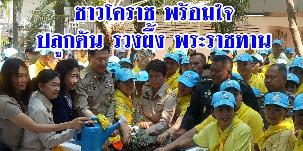 พสกนิกรชาวโคราช พร้อมใจปลูกต้นปลูกต้นรวงผึ้งพระราชทาน