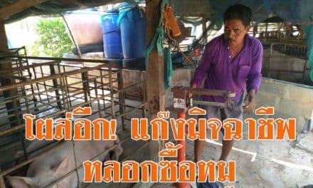 โผล่อีก! แก๊งมิจฉาชีพมาหลอกขอซื้อหมู