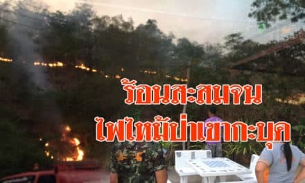ครบุรี ร้อนสะสมจนไฟไหม้ป่าเขากะบุด ลุกโหมห่างร้านค้าไม่ถึง 10 เมตร