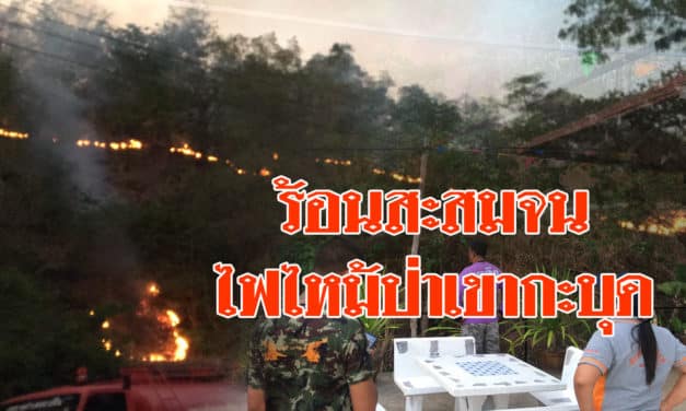 ครบุรี ร้อนสะสมจนไฟไหม้ป่าเขากะบุด ลุกโหมห่างร้านค้าไม่ถึง 10 เมตร