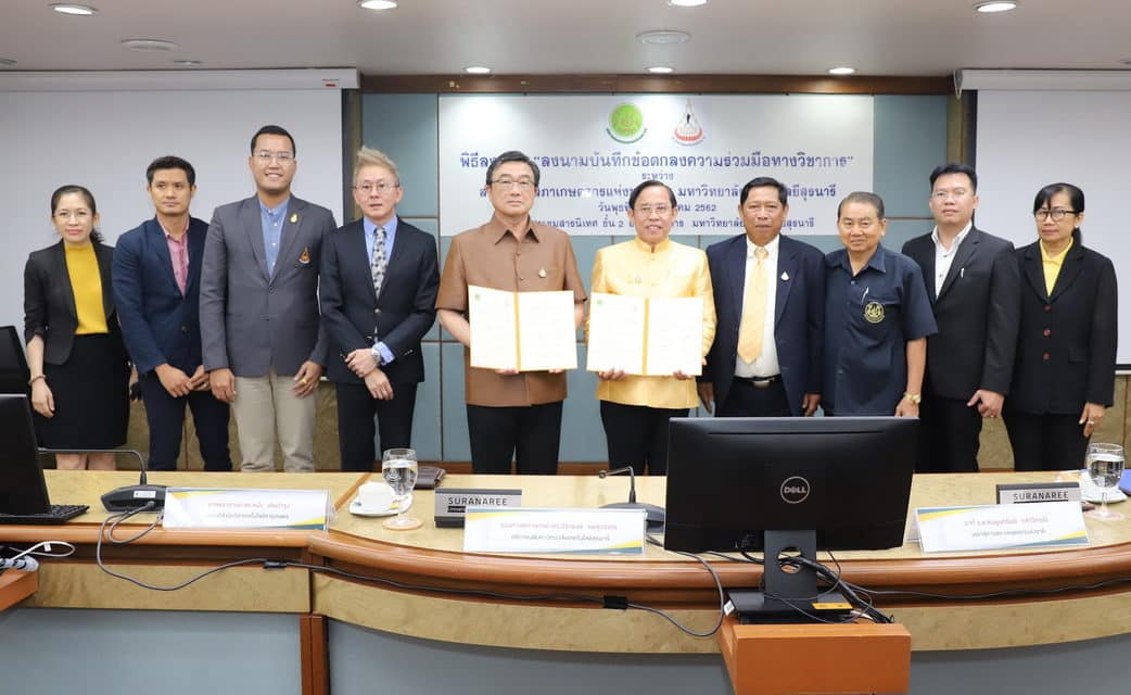 สภาเกษตรกรแห่งชาติ เร่งผลักดันให้เกษตรกรปลูกกัญชาเพื่อทางการแพทย์ โคราช-จ่อจับมือกับ มทส.ชาวโคราชได้เฮแน่