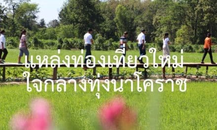 สะพานไม้ฟาร์มสุข แหล่งท่องเที่ยวใหม่ ใจกลางทุ่งนาโคราช นักท่องเที่ยวแห่สัมผัสบรรยากาศสุดฟินคึกคัก