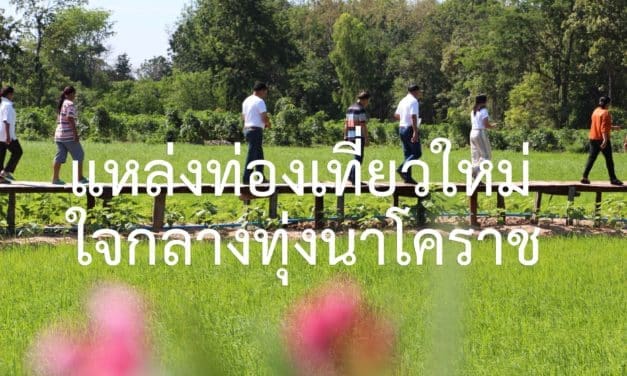 สะพานไม้ฟาร์มสุข แหล่งท่องเที่ยวใหม่ ใจกลางทุ่งนาโคราช นักท่องเที่ยวแห่สัมผัสบรรยากาศสุดฟินคึกคัก