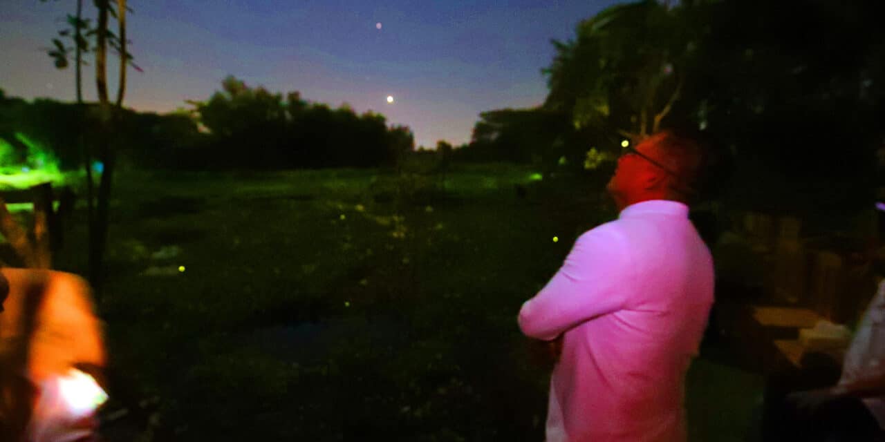 ผู้ว่าฯอ่างทอง เชิญชวนนักท่องเที่ยว จิบชาถังเช่า ชมหิงห้อยที่อ่างทอง